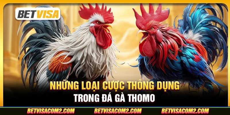 Những loại cược thông dụng trong đá gà thomo